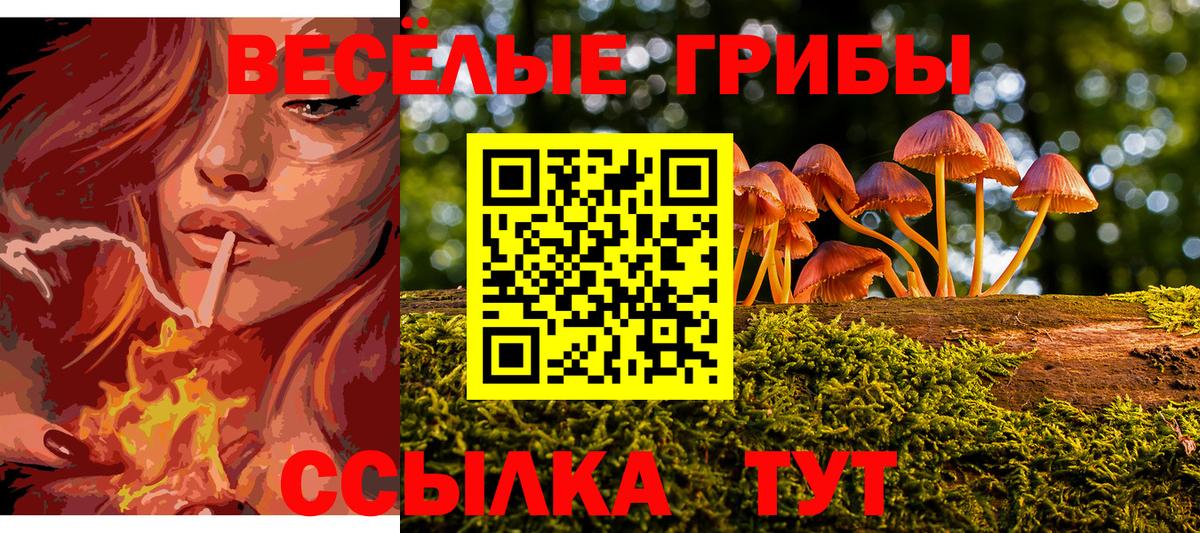 Галлюциногенные грибы Magic Shrooms  Псилоцибиновые грибы мицелий  Лениногорск  Вход с VPN 