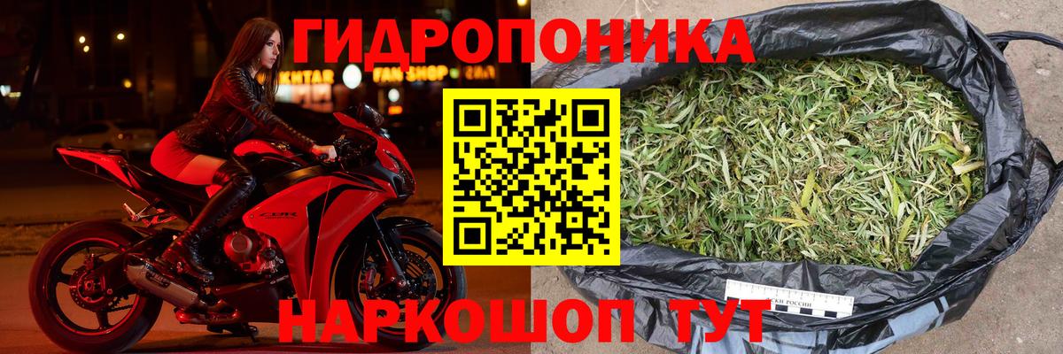 Шишки марихуана индика  Вход с VPN  Лениногорск  Шишки марихуана LSD WEED  Конопля SATIVA & INDICA 