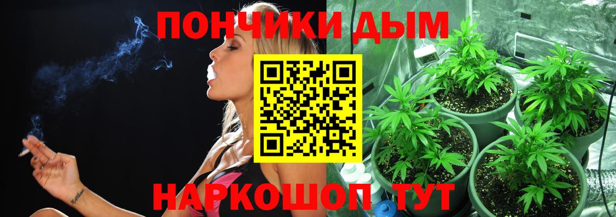 Бошки Шишки планчик Лениногорск